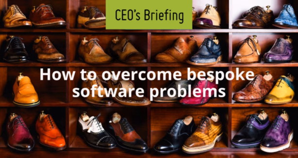 CEO’s briefing: how to overcome bespoke software problems